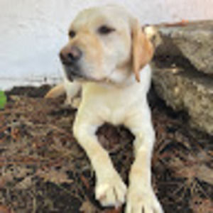 Meet your Posher, Mia